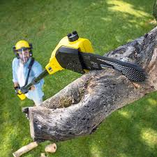 Best Lawn Grading and Leveling  in Elma, WA